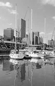 The Point Yacht Club - Durban
