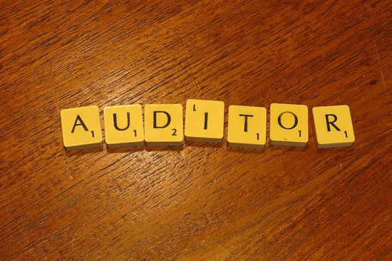 Auditor