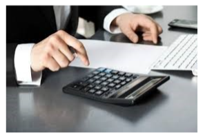 Professional Accountant South Africa